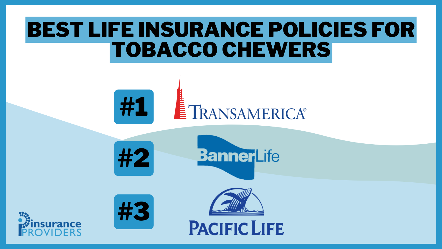 Best Life Insurance Policies for Tobacco Chewers in 2024 (Top 10 Companies)